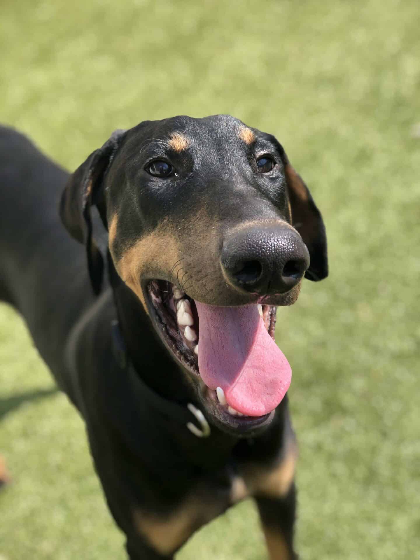 Evaluation: The First Step to Daycare