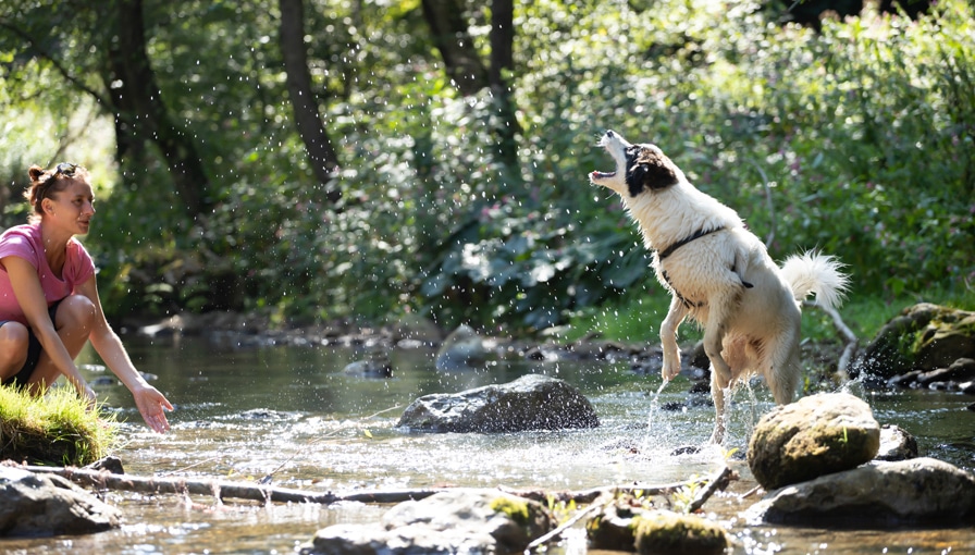 Often Overlooked Summer Safety Tips