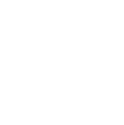 Valley Veterinary Hospital logo