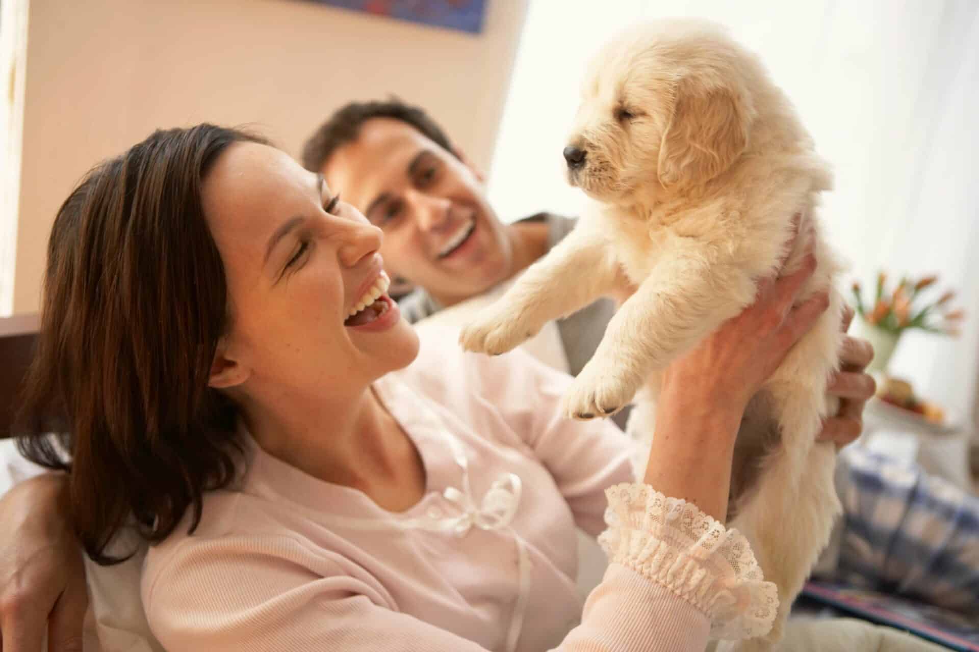 What’s Included in Our Puppy and Kitten Care